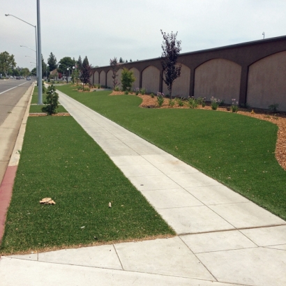 Best Artificial Grass Valle Vista, California Landscaping, Commercial Landscape