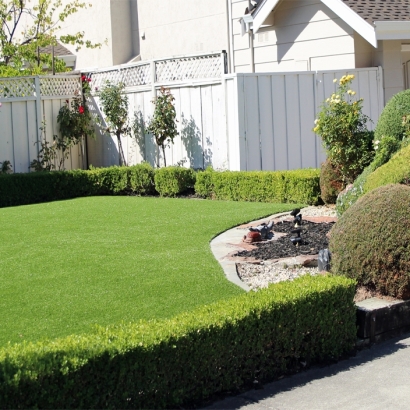 Best Artificial Grass Wildomar, California Landscape Photos, Landscaping Ideas For Front Yard