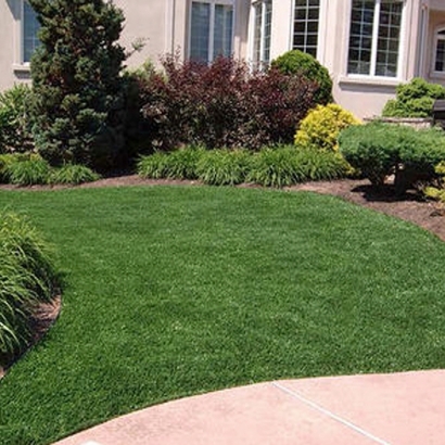 Fake Grass Anza, California Landscaping Business, Front Yard