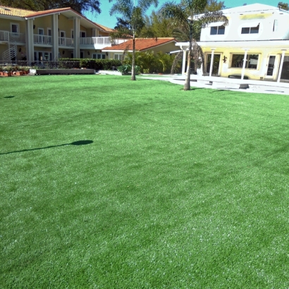 Fake Grass Carpet Winchester, California Gardeners, Above Ground Swimming Pool