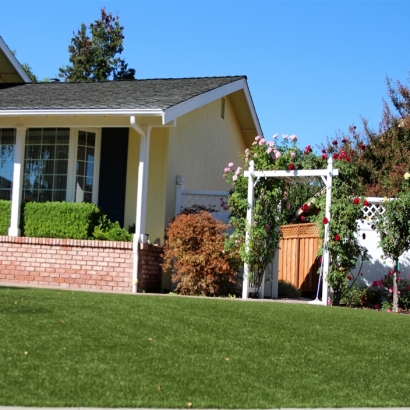 Fake Grass East Hemet, California Rooftop, Small Front Yard Landscaping