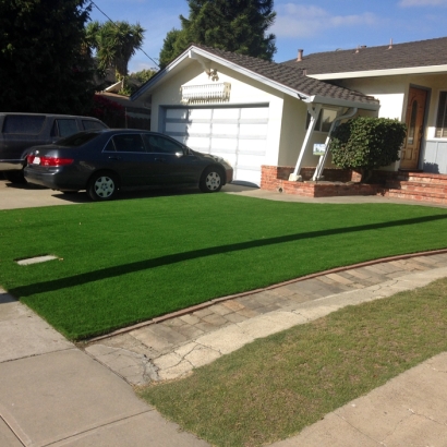 Fake Grass Garnet, California Landscaping, Front Yard Ideas