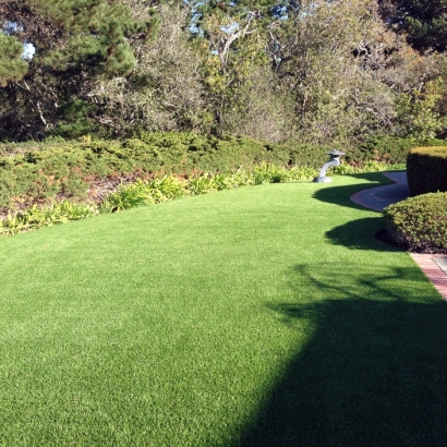 Fake Grass Ripley, California Backyard Deck Ideas, Front Yard