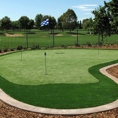 Fake Grass Vista Santa Rosa, California Putting Green Carpet, Backyard Design