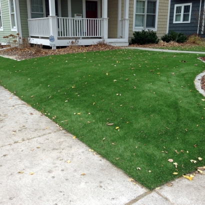 Fake Lawn Anza, California Roof Top, Front Yard Landscaping Ideas