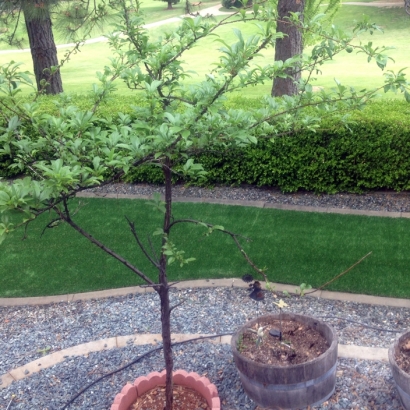 Fake Lawn Murrieta, California Paver Patio, Small Front Yard Landscaping