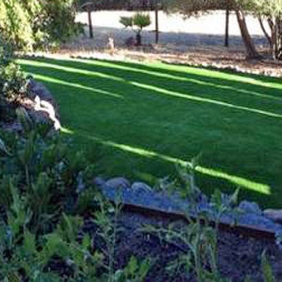 Fake Lawn Palm Desert, California Design Ideas, Backyard Designs