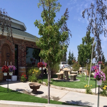 Fake Turf Good Hope, California City Landscape, Commercial Landscape