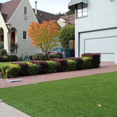 Fake Turf Idyllwild-Pine Cove, California Landscaping Business, Front Yard Design