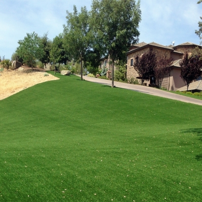 Fake Turf Lakeview, California Landscape Design, Small Front Yard Landscaping