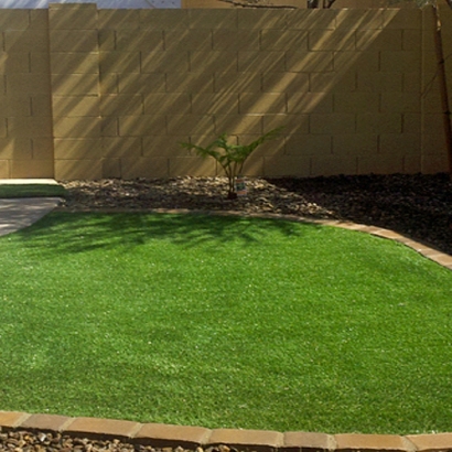 Fake Turf Palm Springs, California Landscaping, Small Backyard Ideas