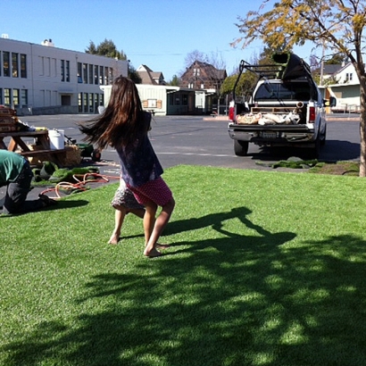 Fake Turf Sun City, California Landscaping, Commercial Landscape