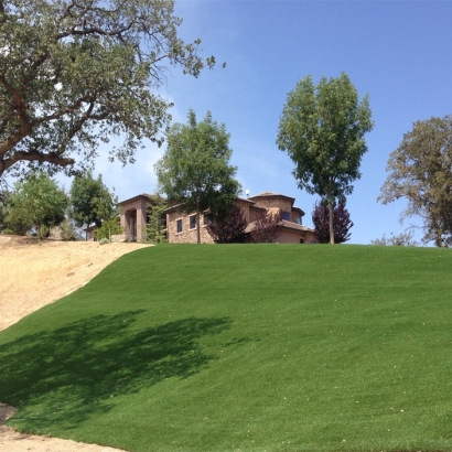 Faux Grass Lakeland Village, California Paver Patio, Front Yard Ideas