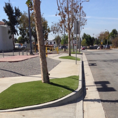 Faux Grass Ripley, California Landscape Photos, Commercial Landscape