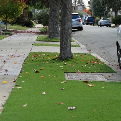 Grass Carpet Indian Wells, California Roof Top, Front Yard Landscaping