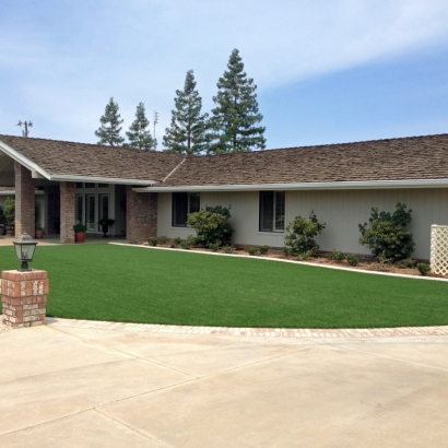 Grass Carpet Nuevo, California City Landscape, Small Front Yard Landscaping