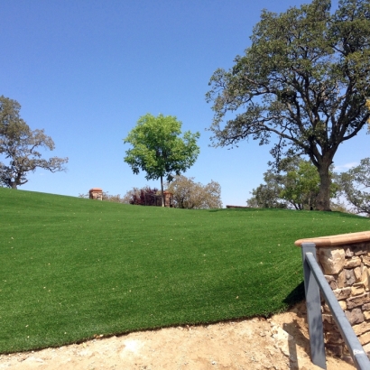 Grass Carpet Wildomar, California Design Ideas, Front Yard Ideas