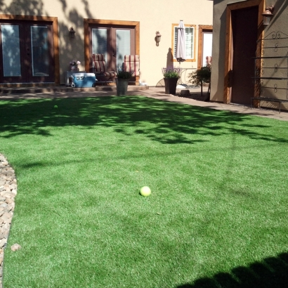 Grass Turf Desert Edge, California Roof Top, Backyard Landscaping