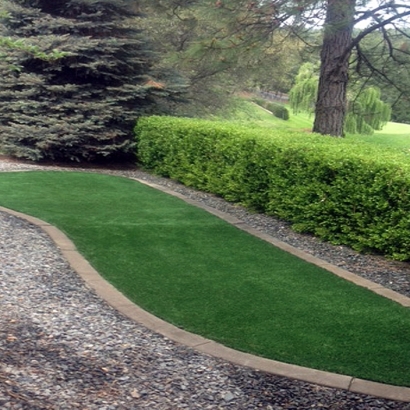 Green Lawn Alpine Village, California City Landscape