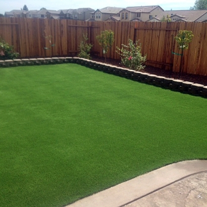 Installing Artificial Grass Beaumont, California City Landscape, Backyard Design