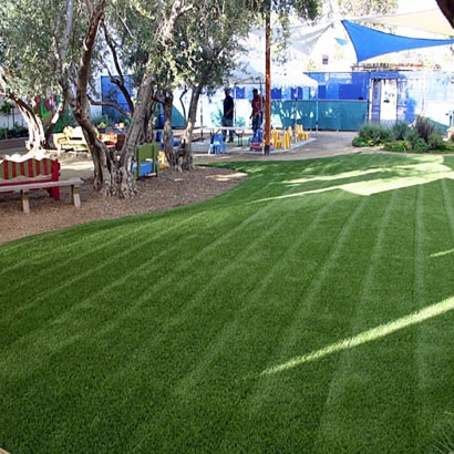 Installing Artificial Grass Perris, California Garden Ideas, Commercial Landscape