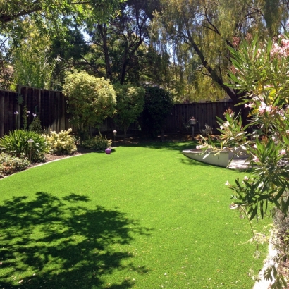 Lawn Services Homeland, California Landscaping, Backyard Landscape Ideas