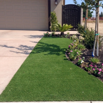 Lawn Services Pedley, California Rooftop, Front Yard