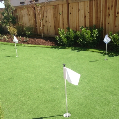 Outdoor Carpet Glen Avon, California How To Build A Putting Green, Backyard Landscaping