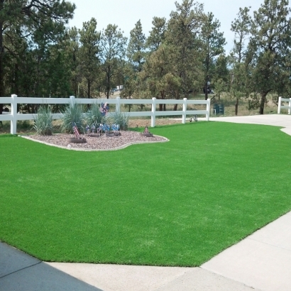 Outdoor Carpet Thermal, California Lawn And Garden, Front Yard Ideas