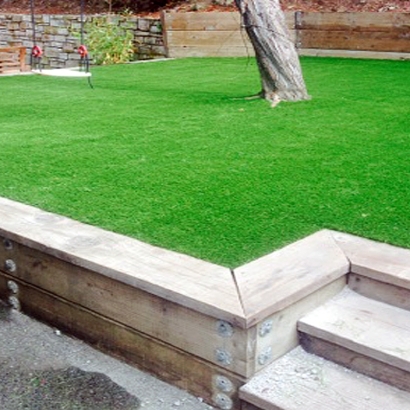 Plastic Grass Highgrove, California Design Ideas, Backyard