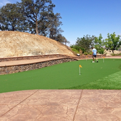 Plastic Grass Mountain Center, California Roof Top, Backyard Garden Ideas