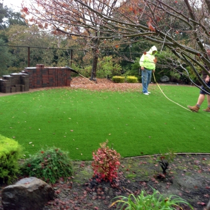 Plastic Grass Thermal, California Landscape Photos, Backyard Designs