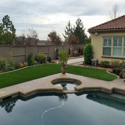 Synthetic Grass Aguanga, California Roof Top, Above Ground Swimming Pool