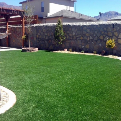 Synthetic Grass Canyon Lake, California Landscape Design, Backyard Landscaping