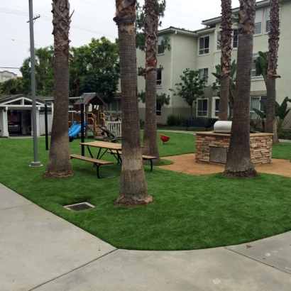 Synthetic Grass Cost Lake Elsinore, California Garden Ideas, Commercial Landscape