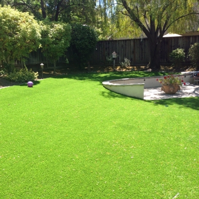 Synthetic Grass Cost Murrieta, California Landscaping, Backyard