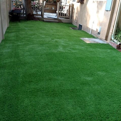 Synthetic Grass East Hemet, California Gardeners, Backyard