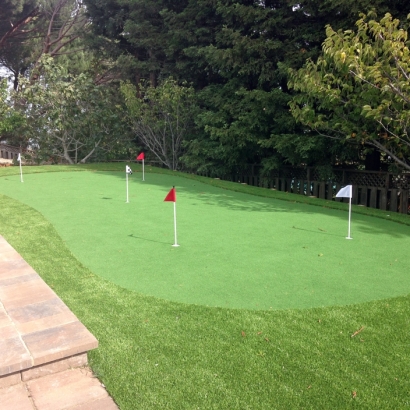 Synthetic Grass Home Gardens, California Putting Green Carpet, Backyard