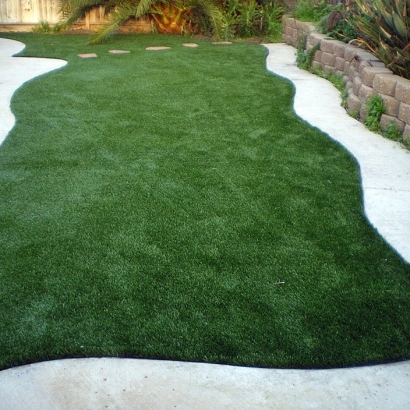 Synthetic Grass Lakeland Village, California Landscape Ideas, Backyard Ideas