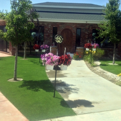 Synthetic Grass Palm Desert, California Landscaping Business, Commercial Landscape