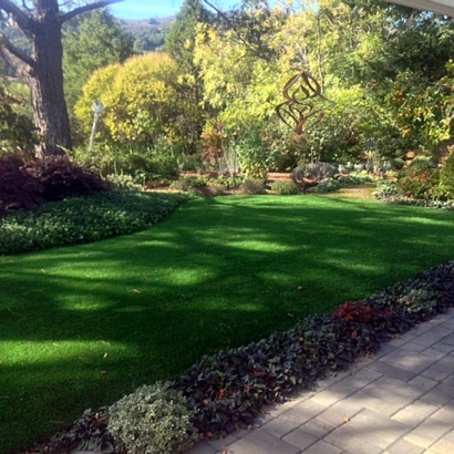 Synthetic Grass Temecula, California Garden Ideas, Backyard Garden Ideas