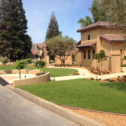 Synthetic Grass Winchester, California Roof Top, Landscaping Ideas For Front Yard