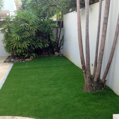 Synthetic Lawn Indio, California Lawn And Garden, Backyard Designs