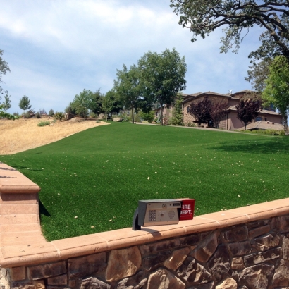 Synthetic Lawn Pedley, California Landscape Ideas, Small Front Yard Landscaping