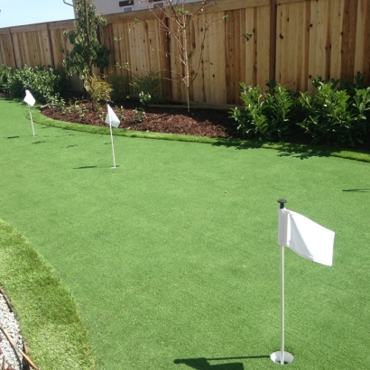 Synthetic Turf Anza, California Gardeners, Backyard Designs