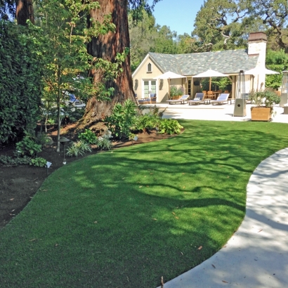 Synthetic Turf Hemet, California City Landscape, Commercial Landscape