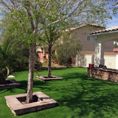 Synthetic Turf Supplier East Hemet, California Landscape Ideas, Front Yard