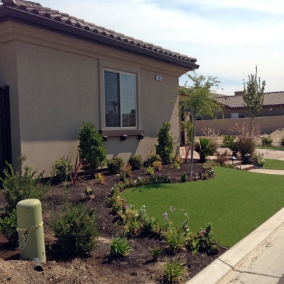 Synthetic Turf Supplier Glen Avon, California Rooftop, Front Yard Landscape Ideas