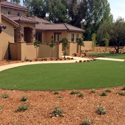 Synthetic Turf Supplier Pedley, California Lawns, Front Yard Landscape Ideas