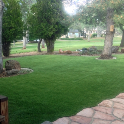 Synthetic Turf Supplier Sky Valley, California City Landscape, Front Yard